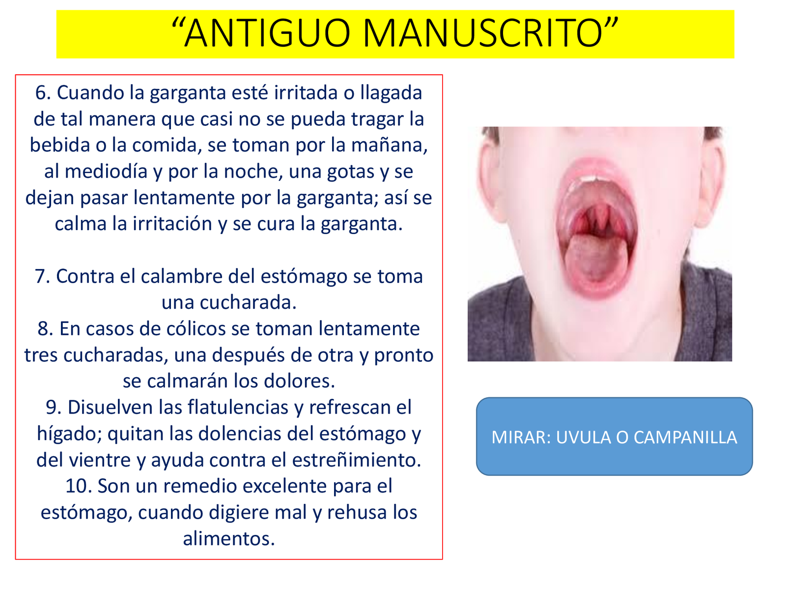 Amargo sueco imagen 4