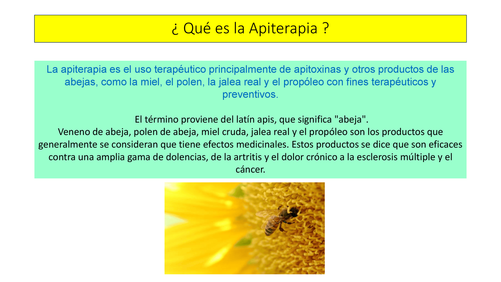 Apiterapia - APITERAPIA_00002.png