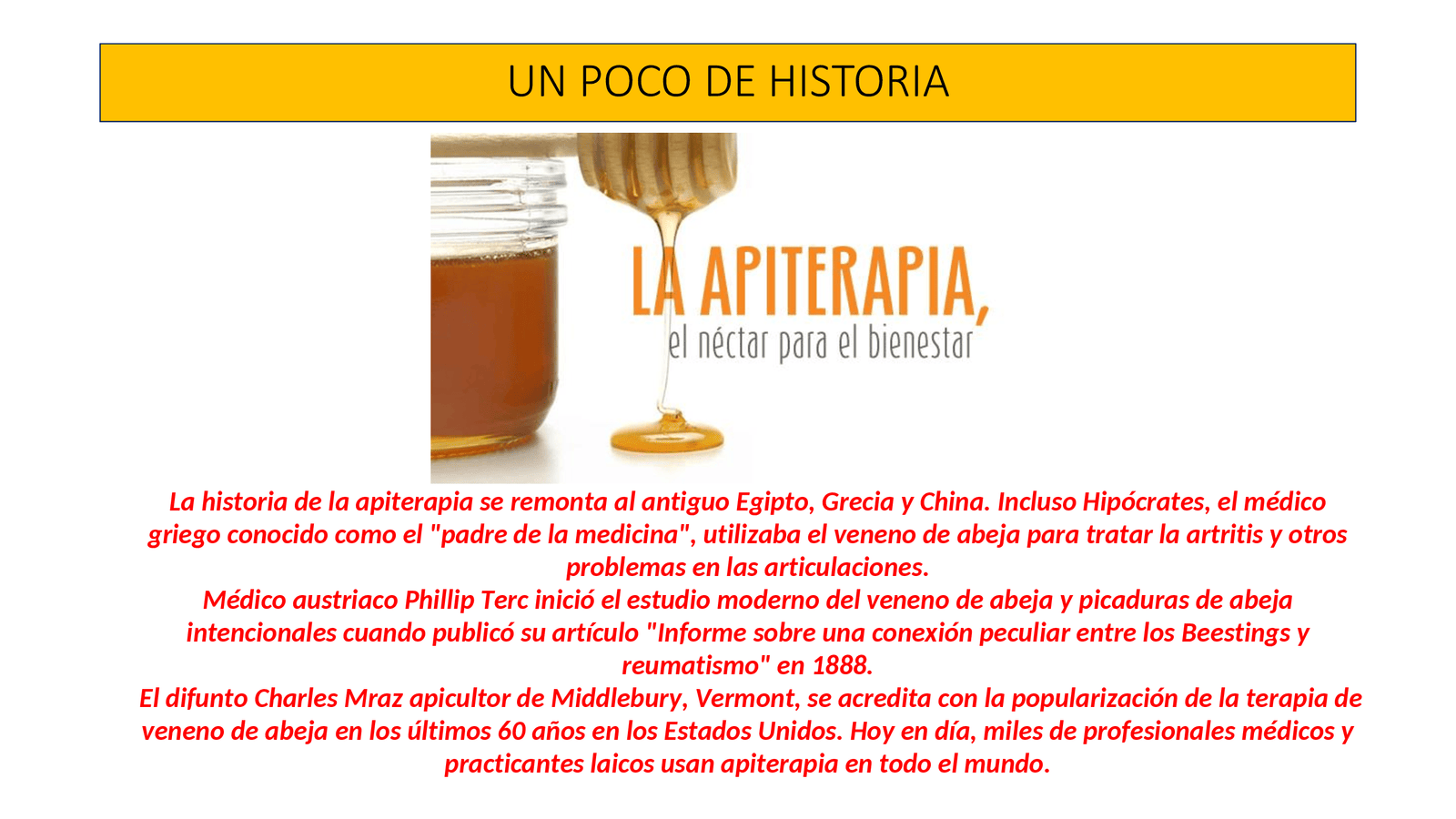 Apiterapia - APITERAPIA_00004.png
