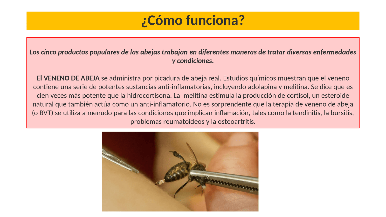 Apiterapia - APITERAPIA_00005.png