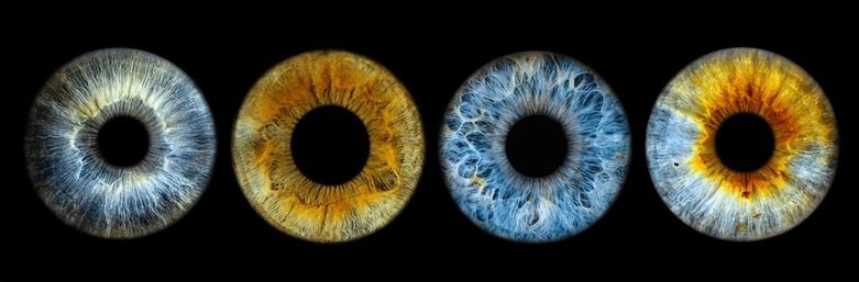 Imagen del iris del ojo para iridología