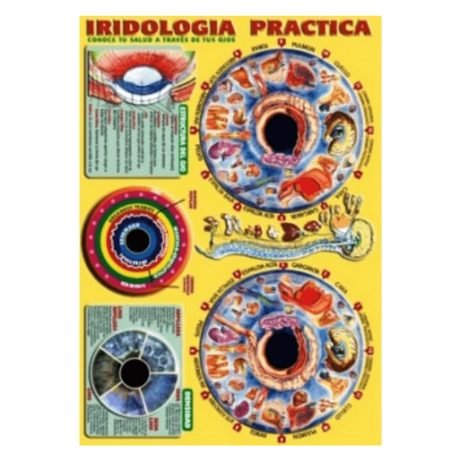 Lámina de iridología práctica