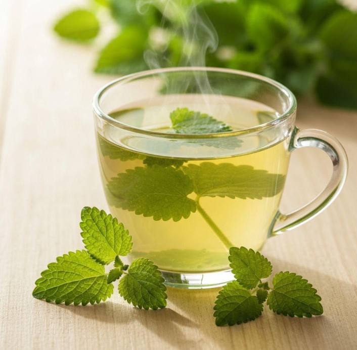 Infusiones relajantes de hierbas para dormir mejor